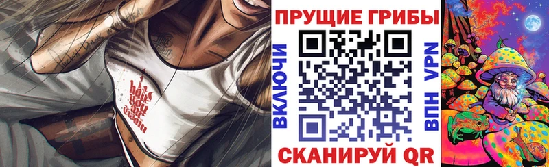 Галлюциногенные грибы Cubensis Реутов