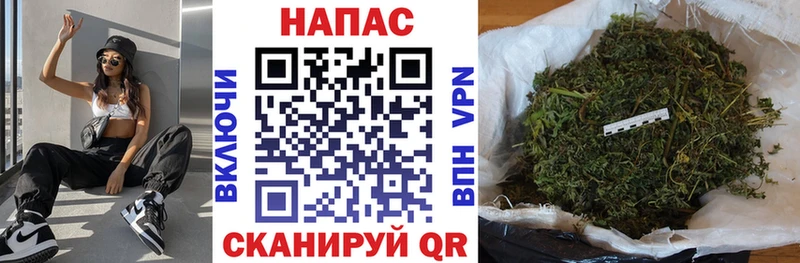 Марихуана OG Kush купить Реутов